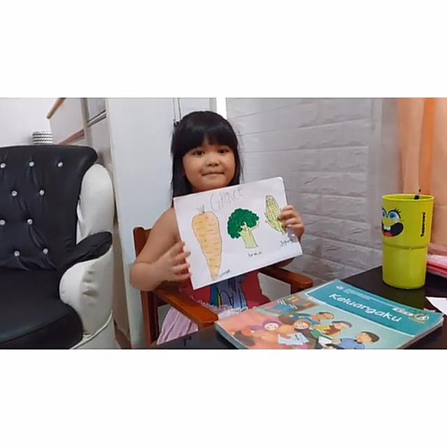 Sampul